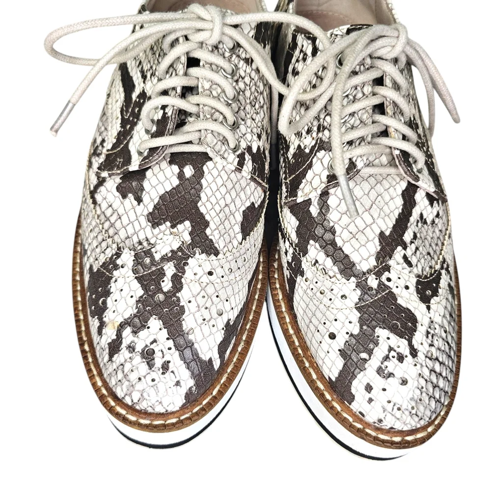 Shellys London Womens Snakeskin Loafers Platform Women's Size 6